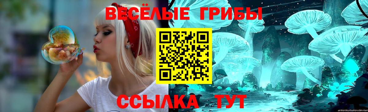 Псилоцибиновые грибы Psilocybine cubensis Южно-Сахалинск